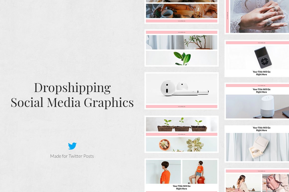 Dropshipping Twitter Posts cover image.