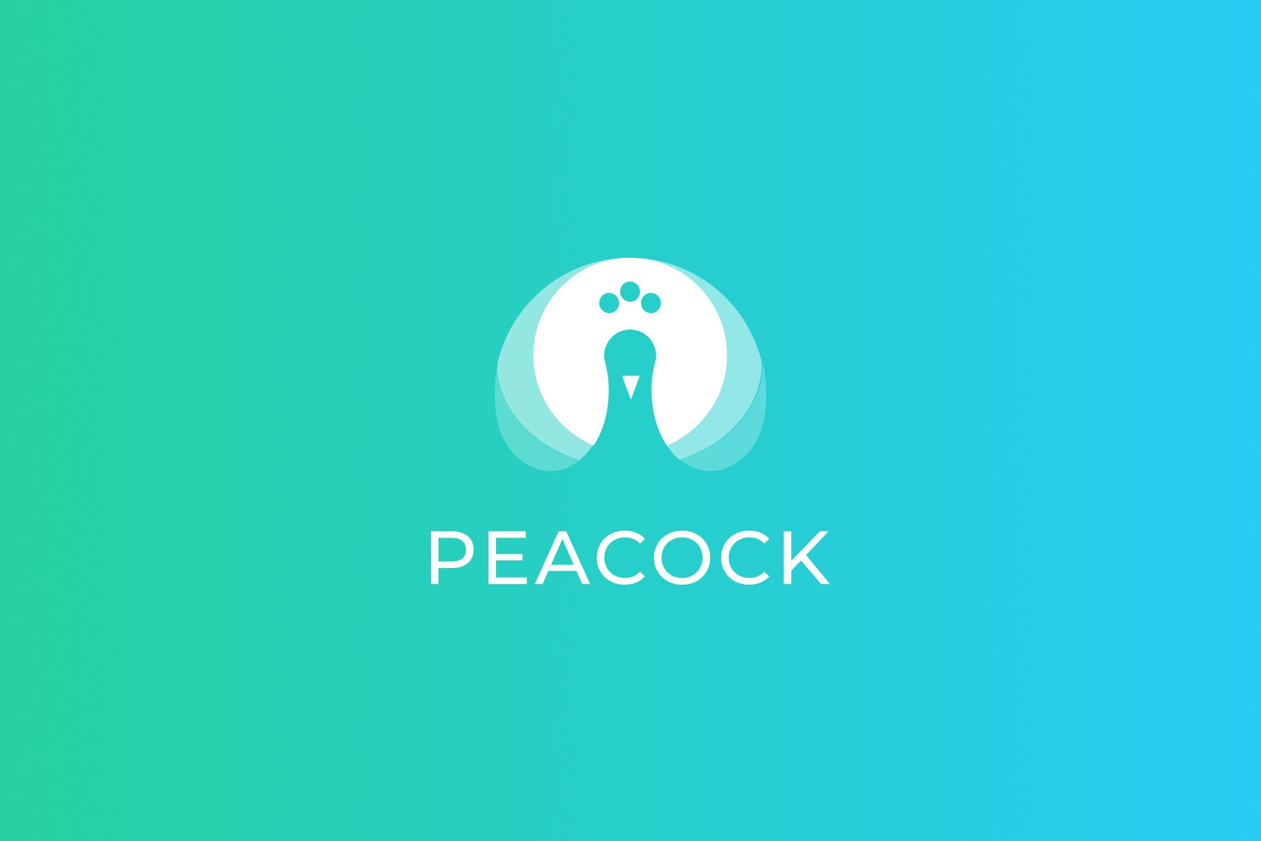Peacock Logo cover image.