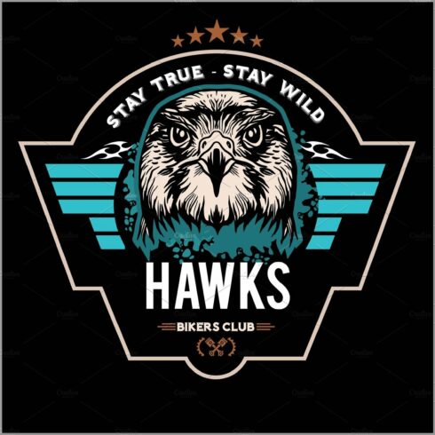 Hawks head logo Template, Hawk cover image.