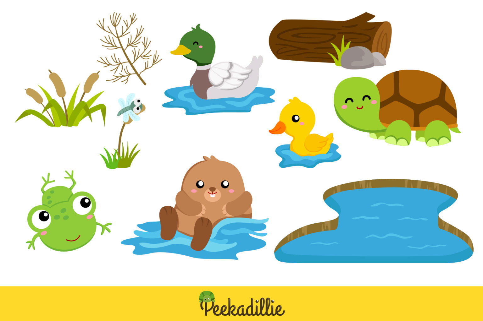 Pond Animal Turtle Frog Duck Snail Beaver Raven Birds Illustration