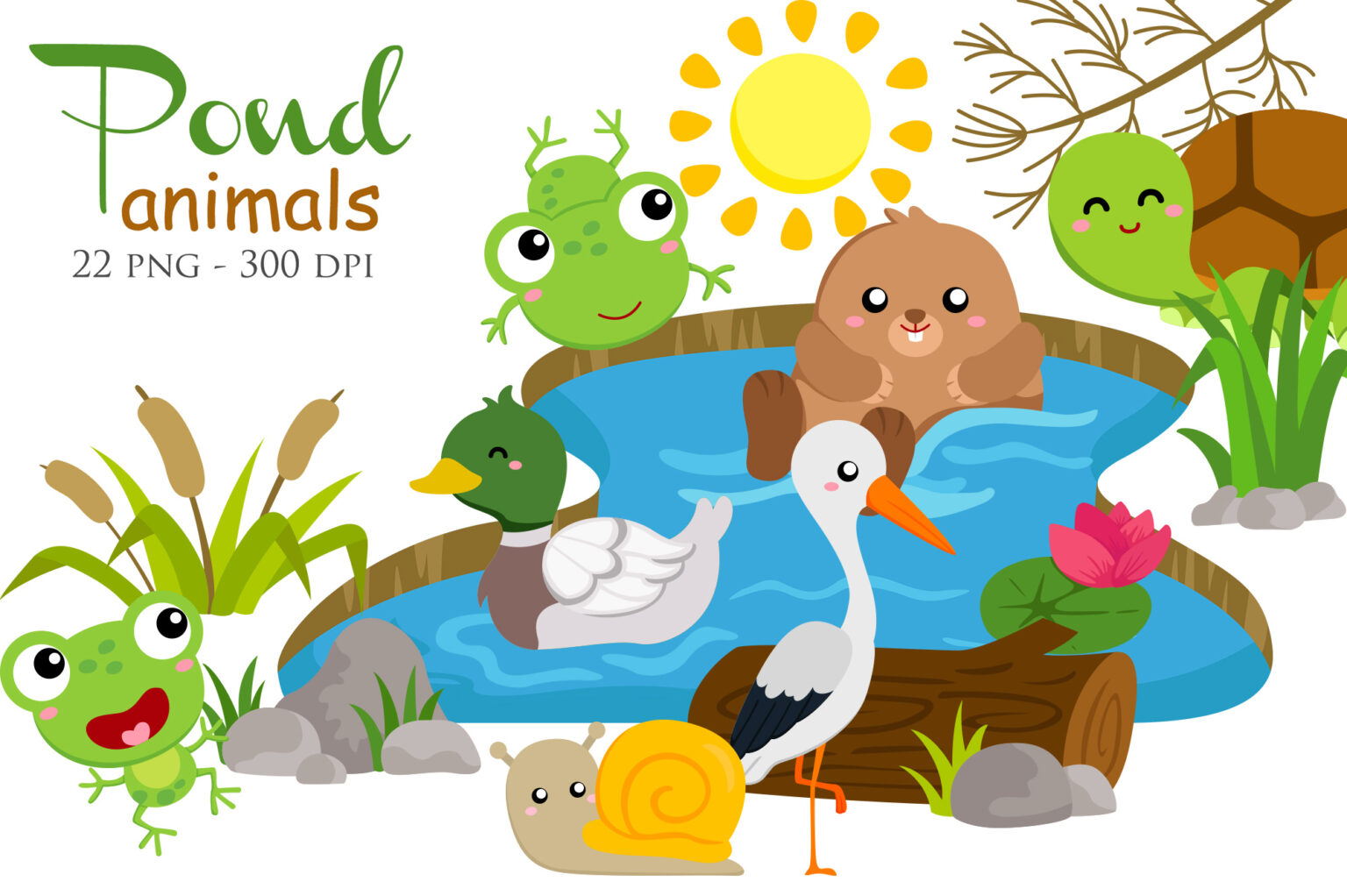 Pond Animal Turtle Frog Duck Snail Beaver Raven Birds Illustration