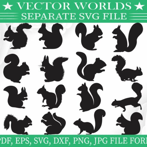 Squirrel Svg, Animal, Animals Svg cover image.