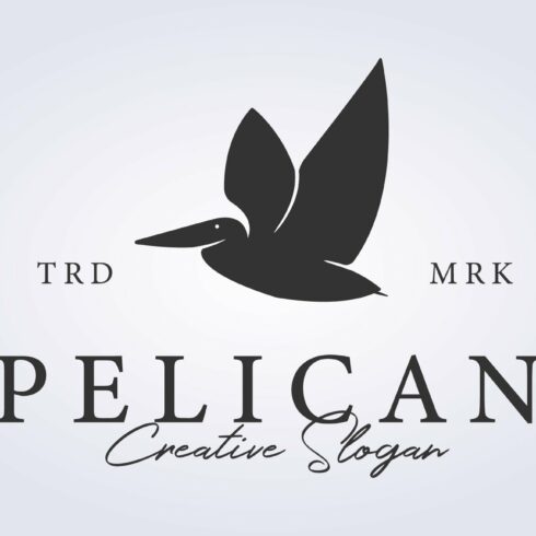 flying pelican bird in retro logo cover image.
