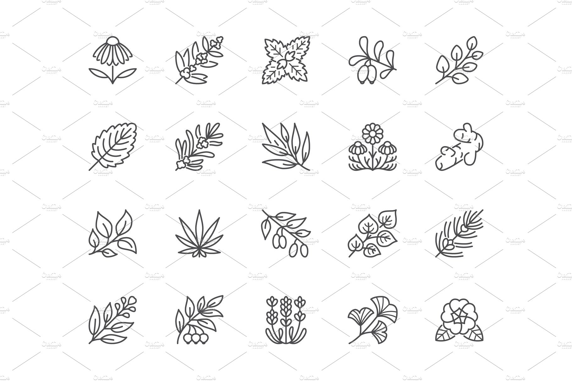 Herbs Line Icons preview image.