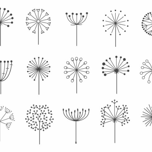 Dandelion flowers with fluffy seeds cover image.
