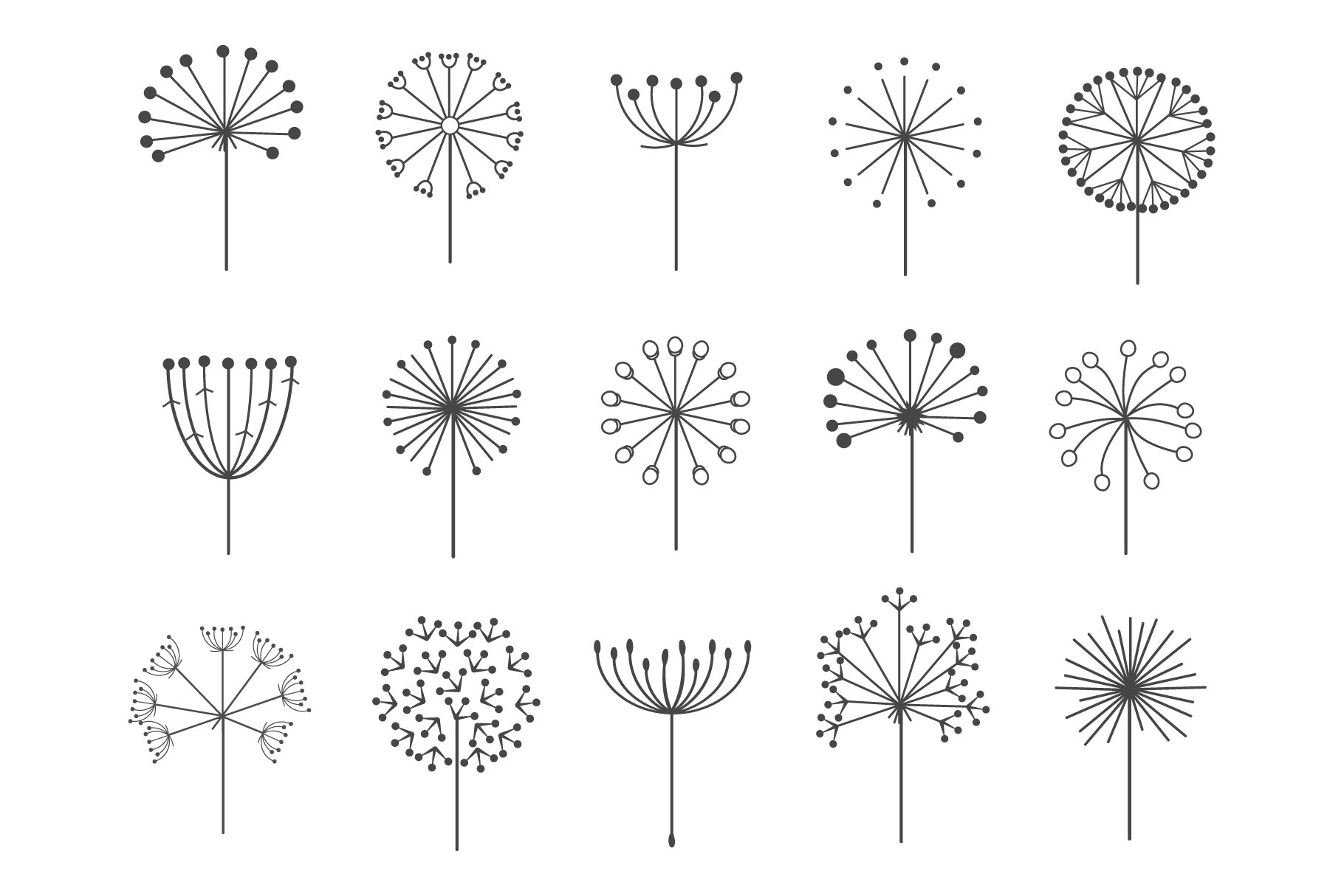 Dandelion flowers with fluffy seeds cover image.