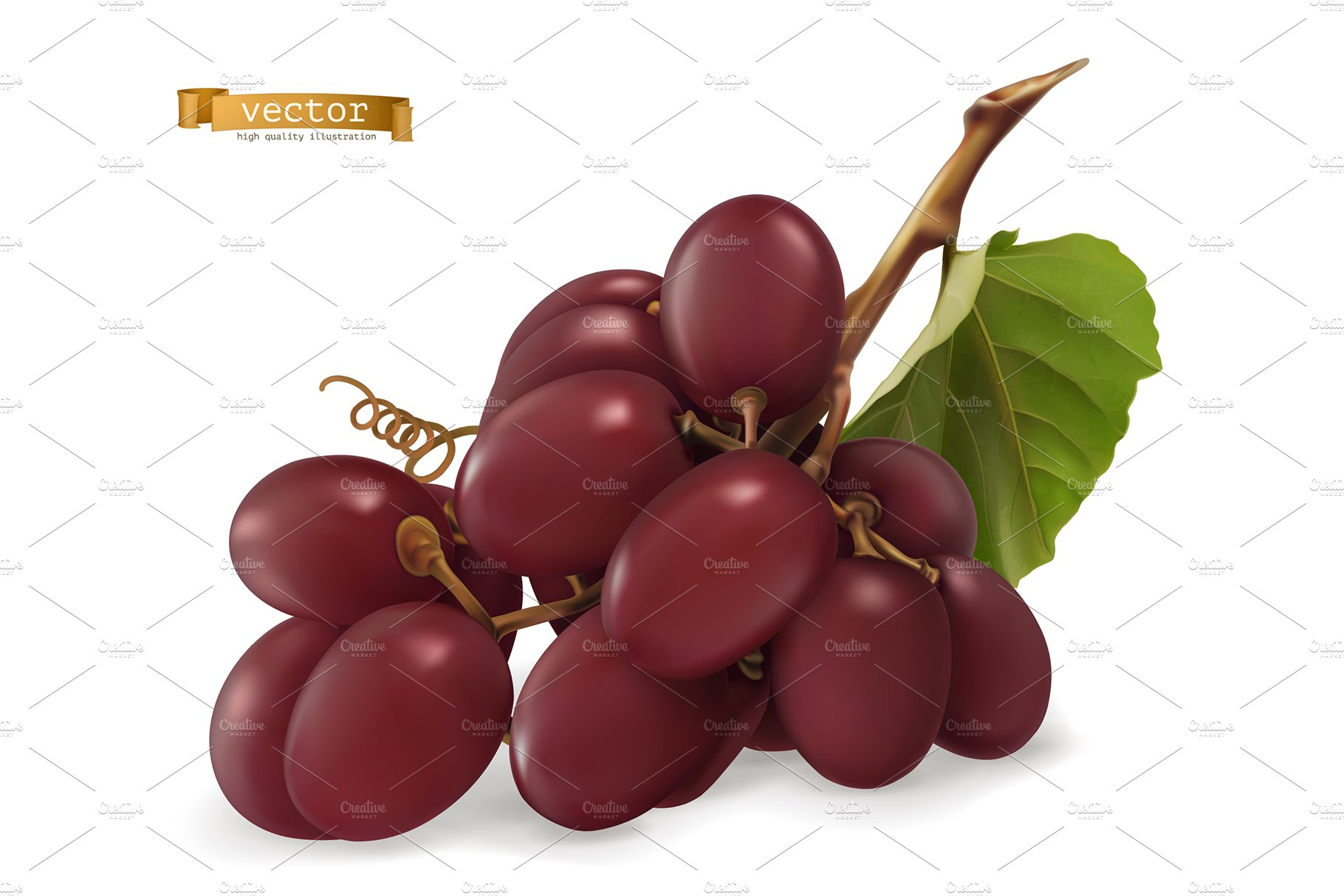 Dessert grapes for wine, vector set preview image.