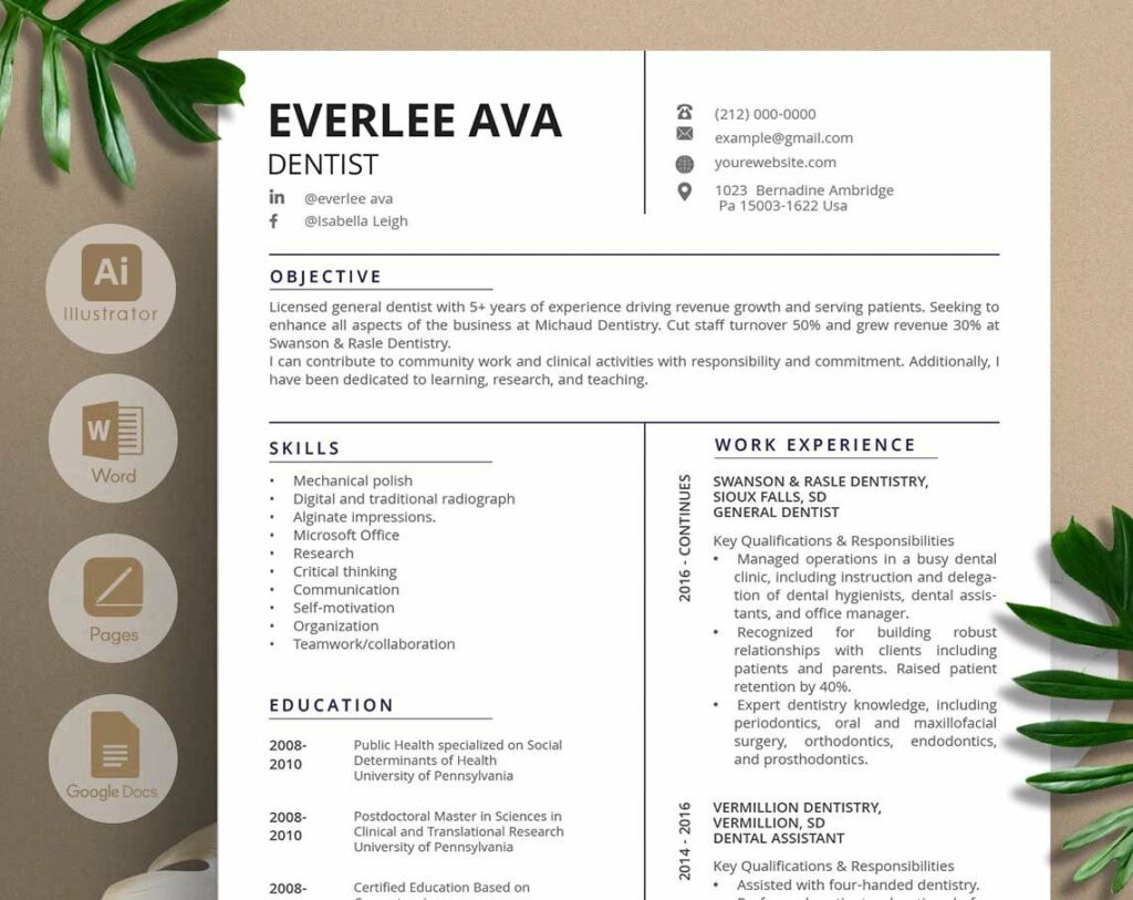 Dentist Resume Template MasterBundles   Dentist Resume 7  60 1024x813 