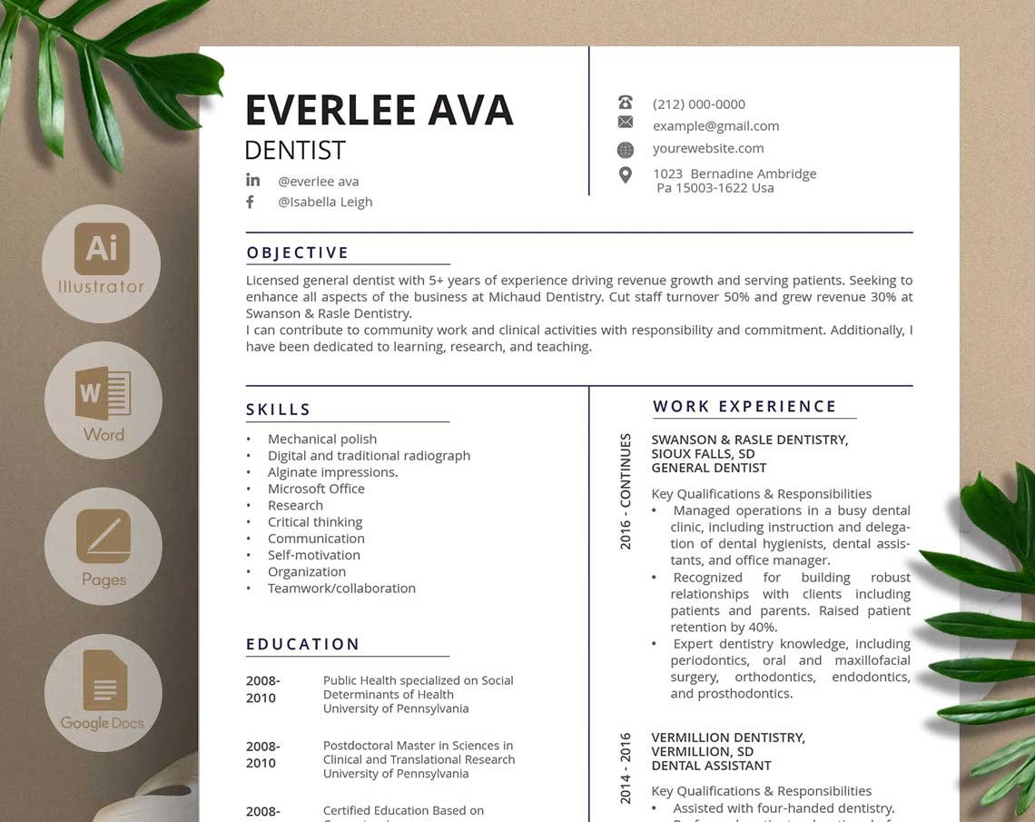 Professional resume with a green plant on top of it.