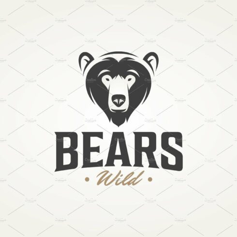 wild bear icon logo vector design cover image.