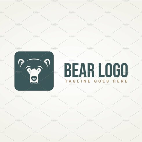 bear icon logo vector illustration cover image.