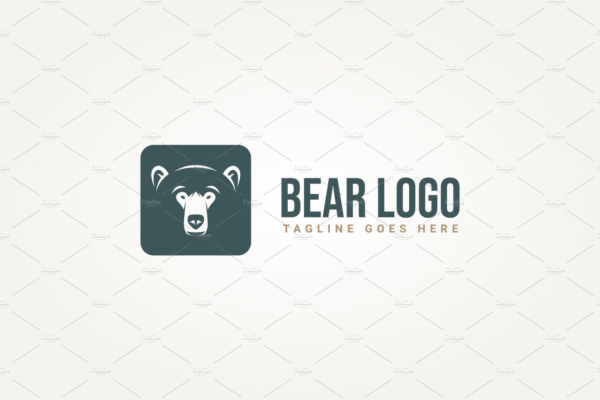 bear icon logo vector illustration cover image.