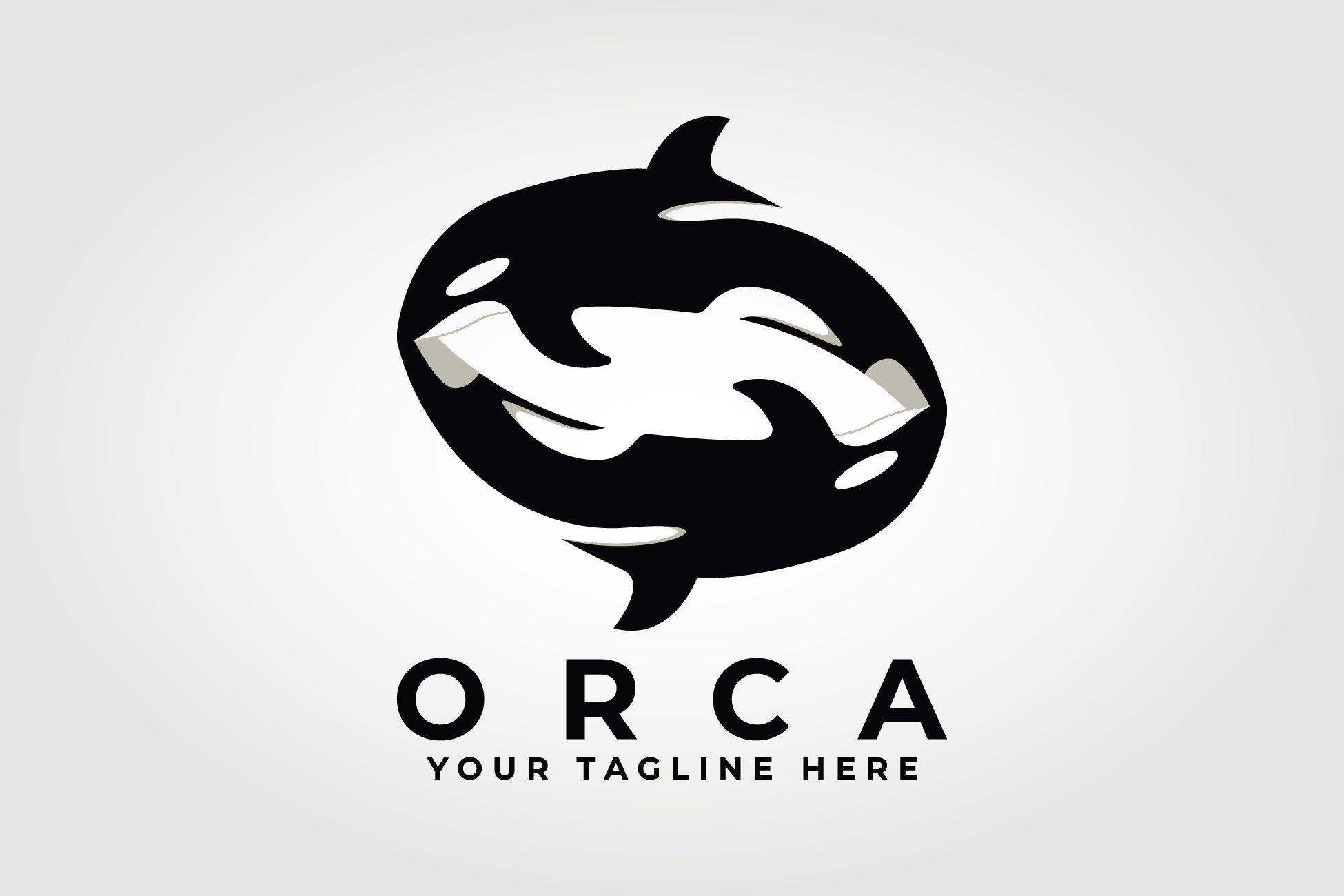 circle couple of orca killer whale cover image.