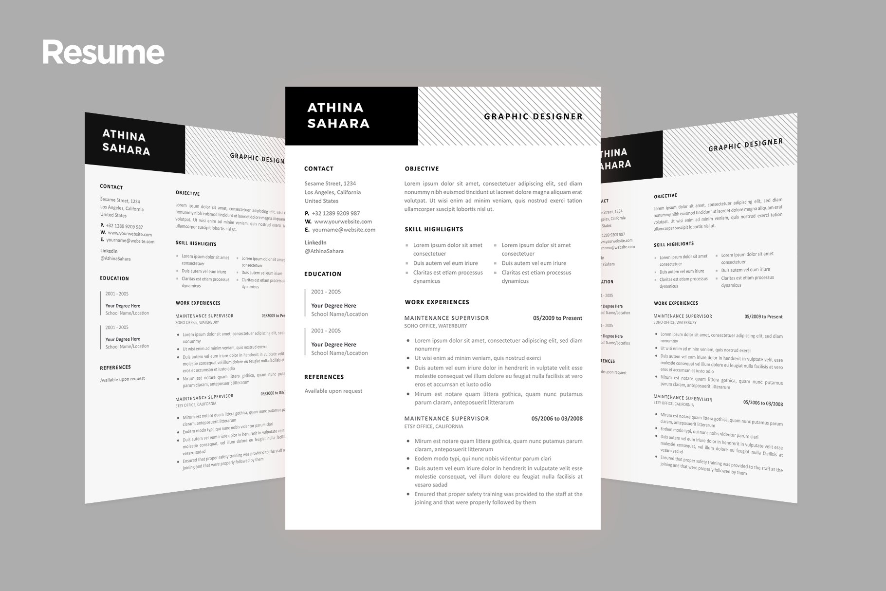 Professional Resume Template - 01 preview image.