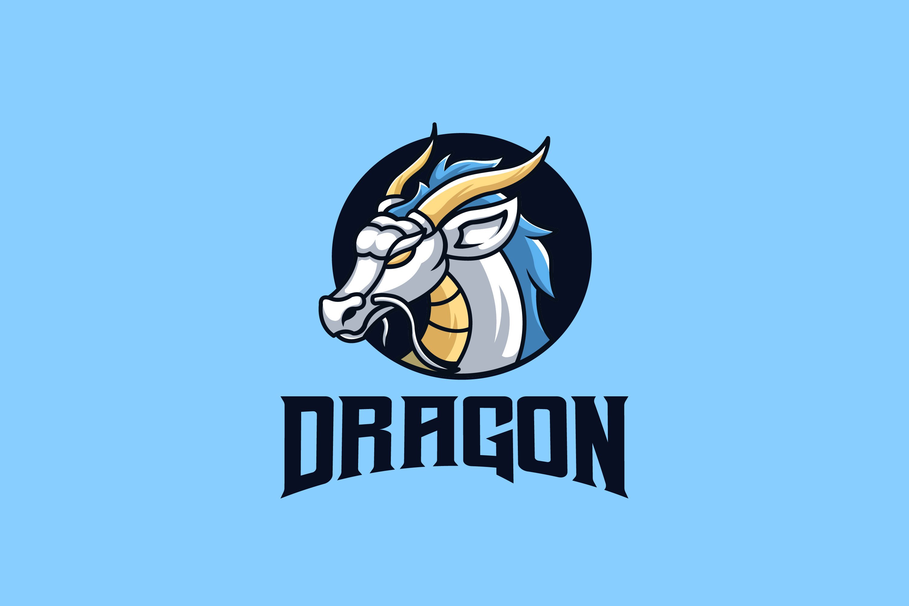 White Dragon Logo cover image.