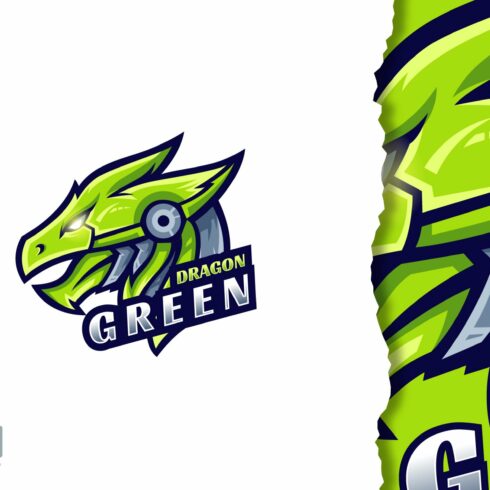 Green dragon logo design cover image.
