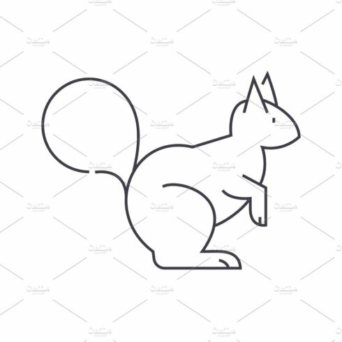 squirrel vector line icon, sign, illustration on background, editable strokes cover image.