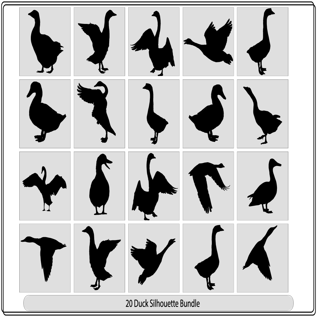 Silhouettes of wild and domestic duck, Duck in flight,silhouette of goose, duck, set,Real duck silhouette preview image.