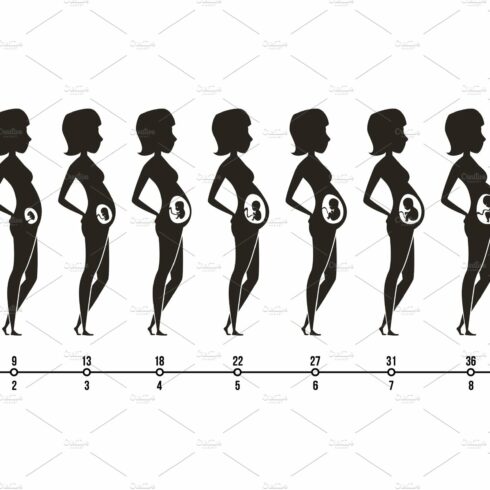 Pregnancy stages. Silhouettes of cover image.