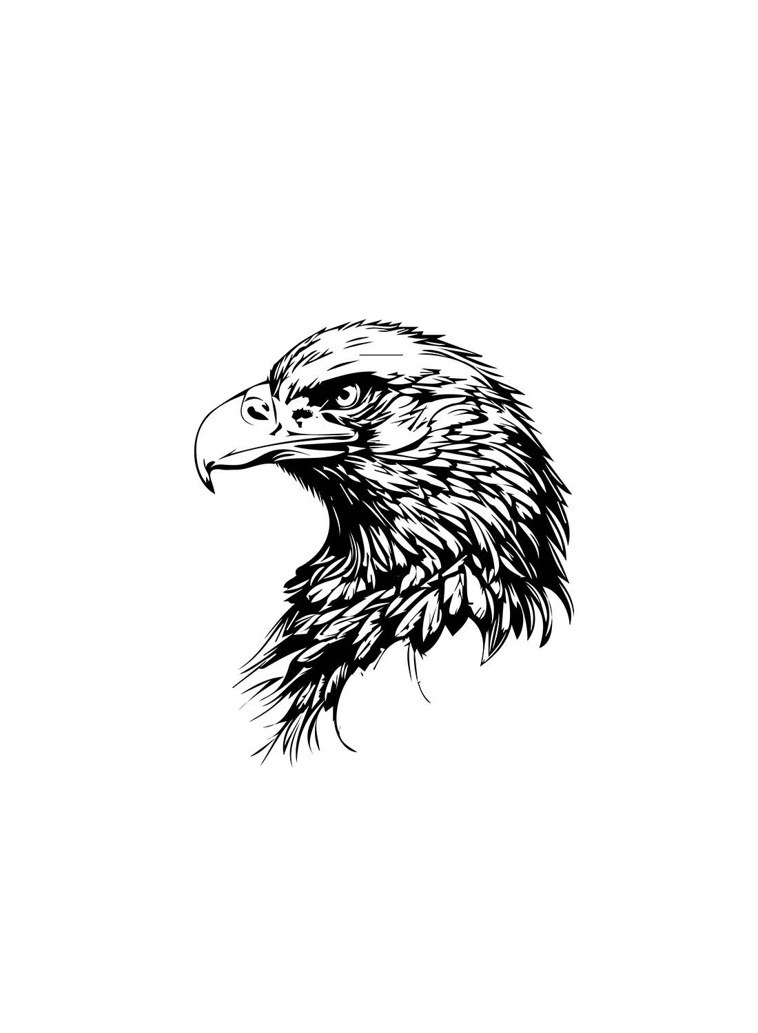Black and white drawing of an eagle.