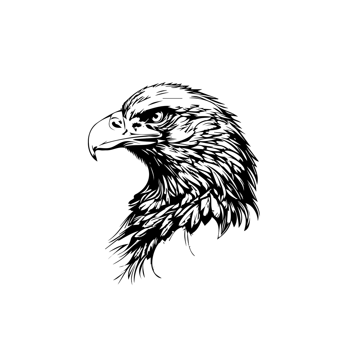 Eagle logo cover image.