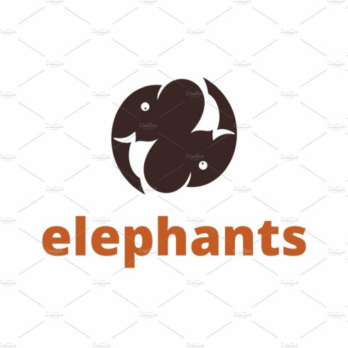 Elephants Logo cover image.