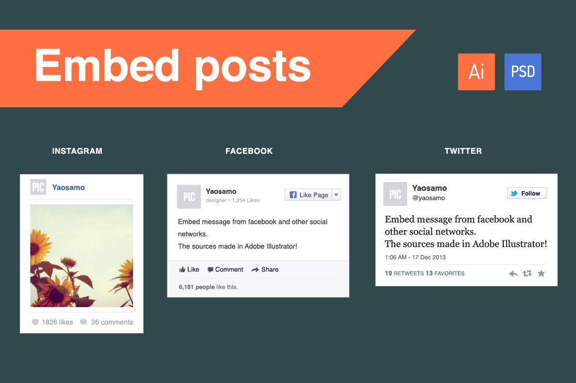 FB, Twitter & Instagram embed posts cover image.