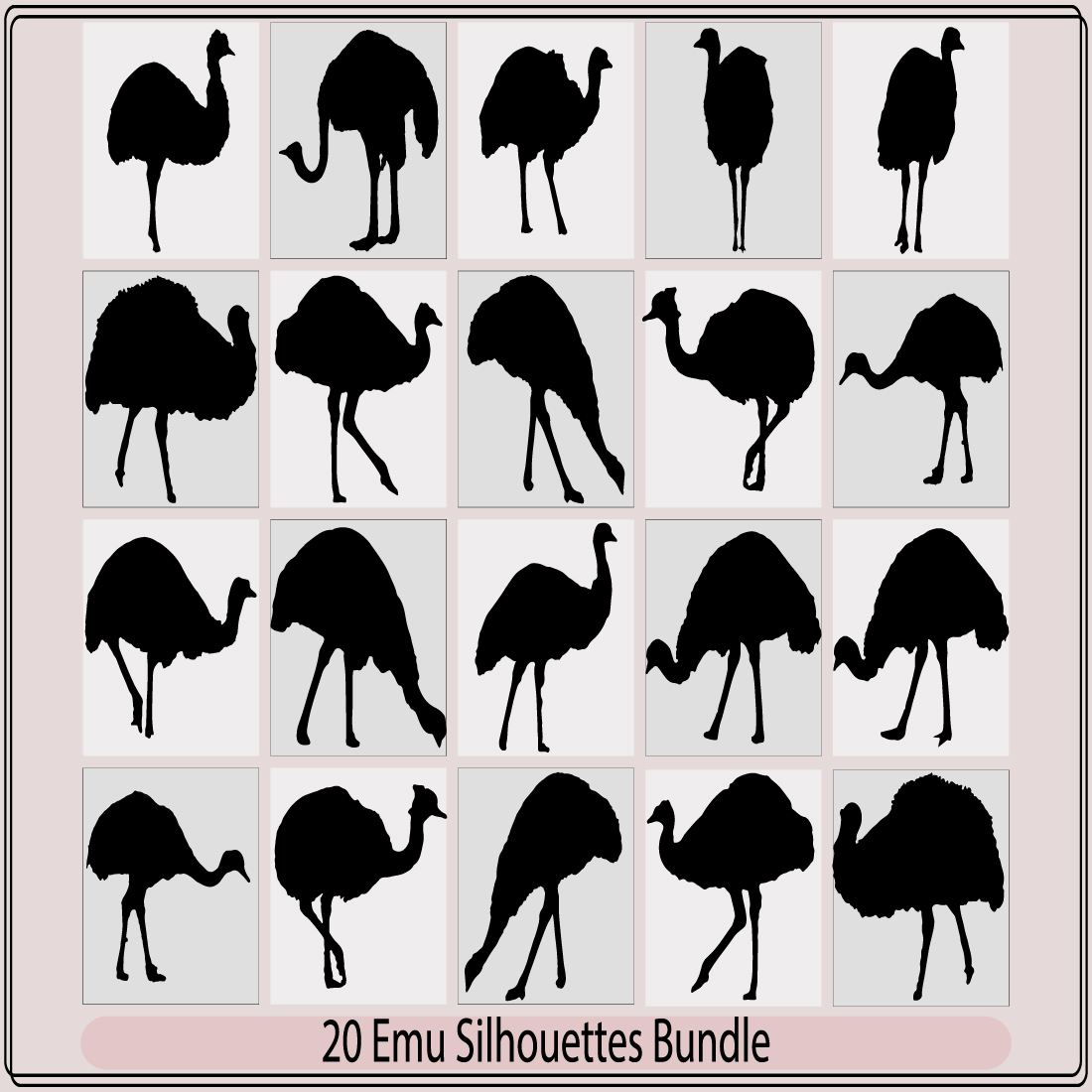 Emu silhouette,Emu vector silhouette, Emu bird,silhouette of emu,Emu bird vector silhouette cover image.