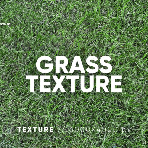 20 Grass Textures HQ cover image.