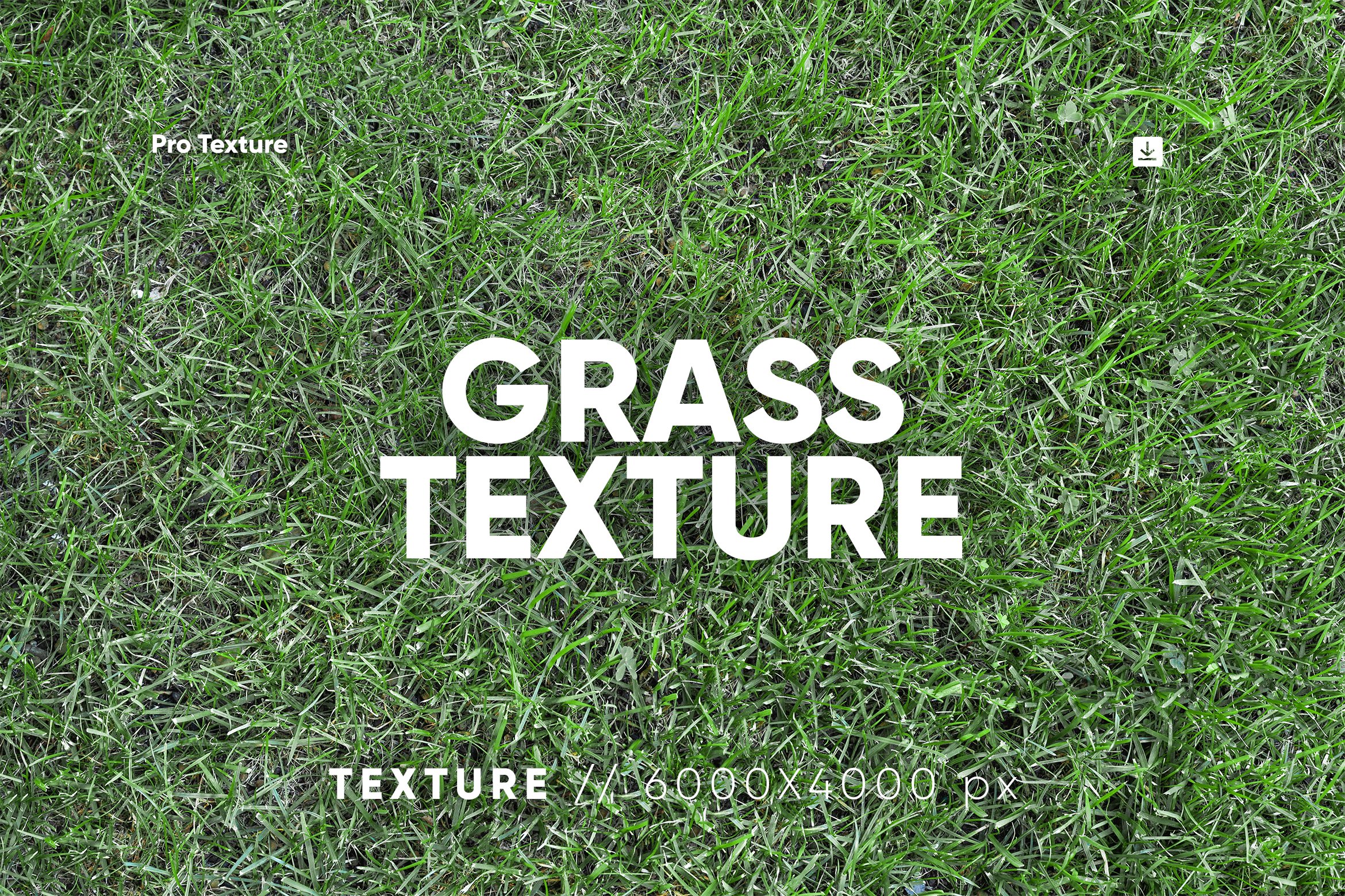 20 Grass Textures HQ cover image.