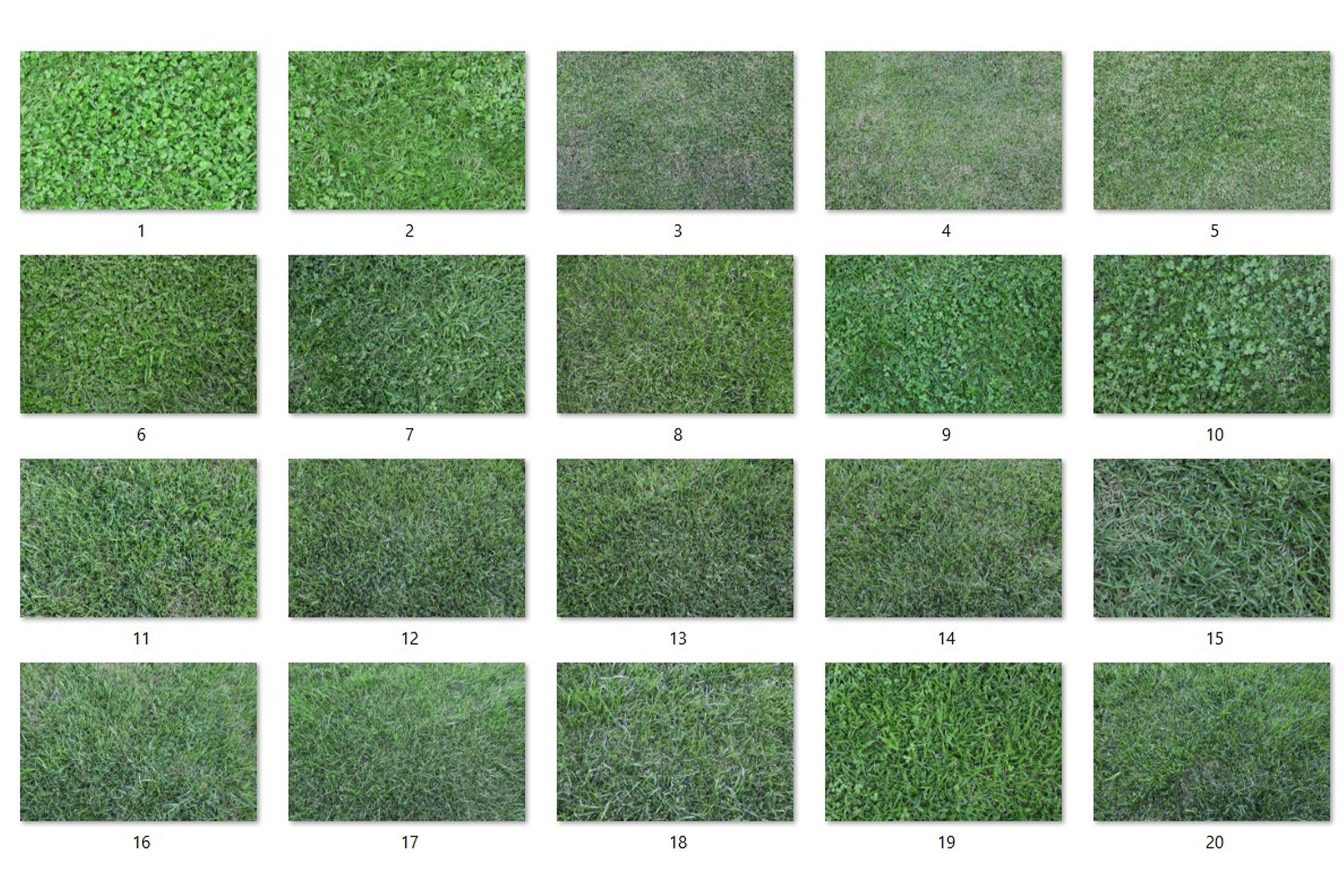 20 Grass Textures HQ preview image.