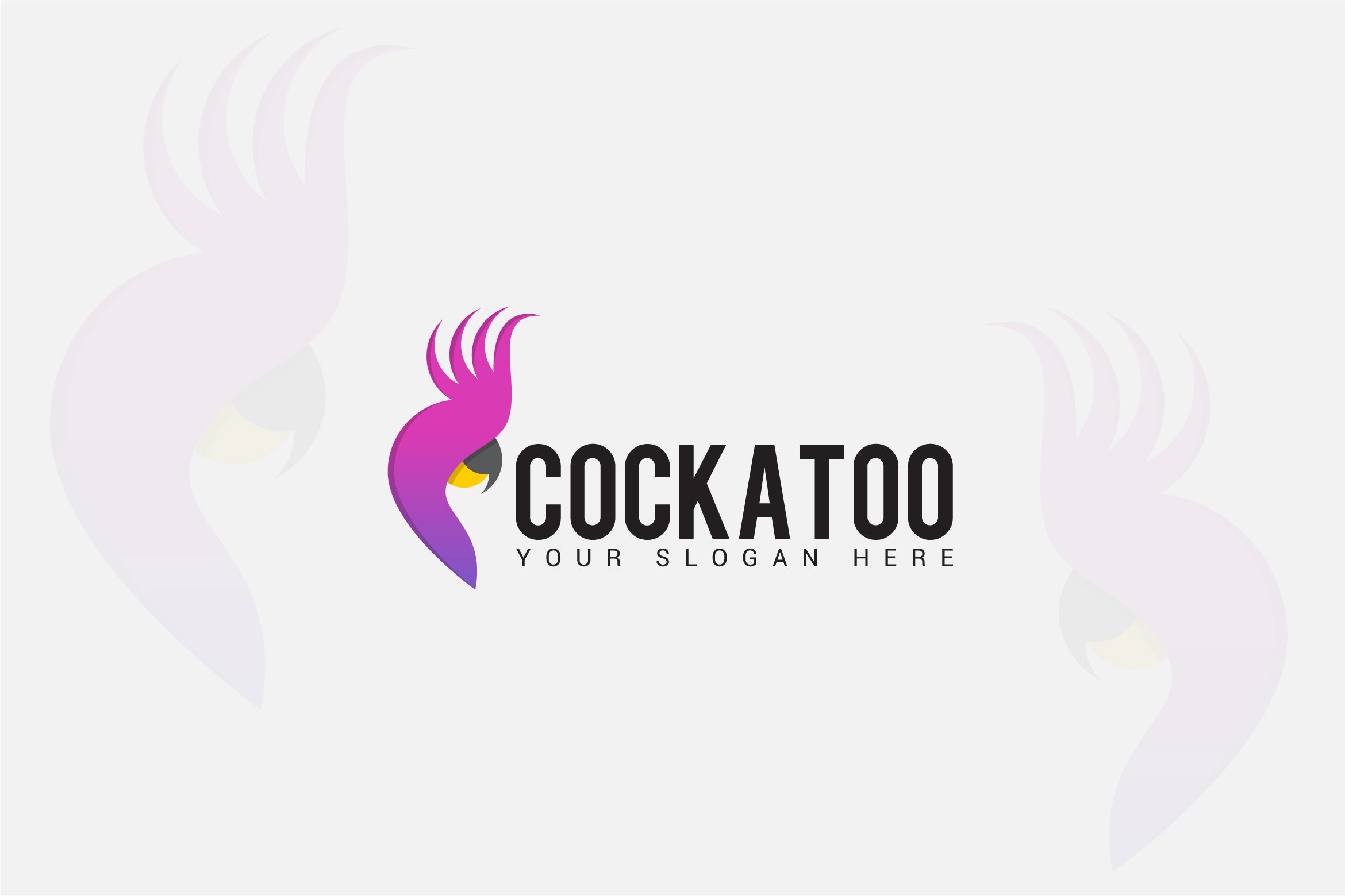 Cockatoo cover image.