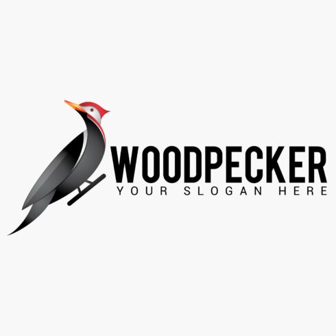 woodpecker logo cover image.