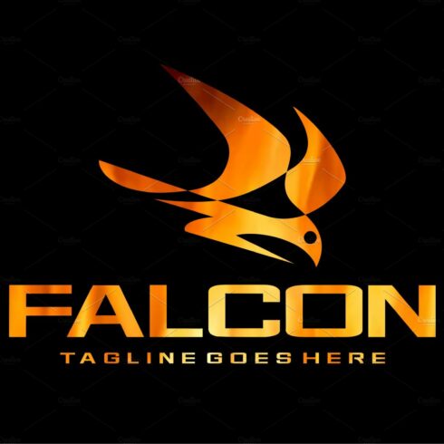 Falcon cover image.