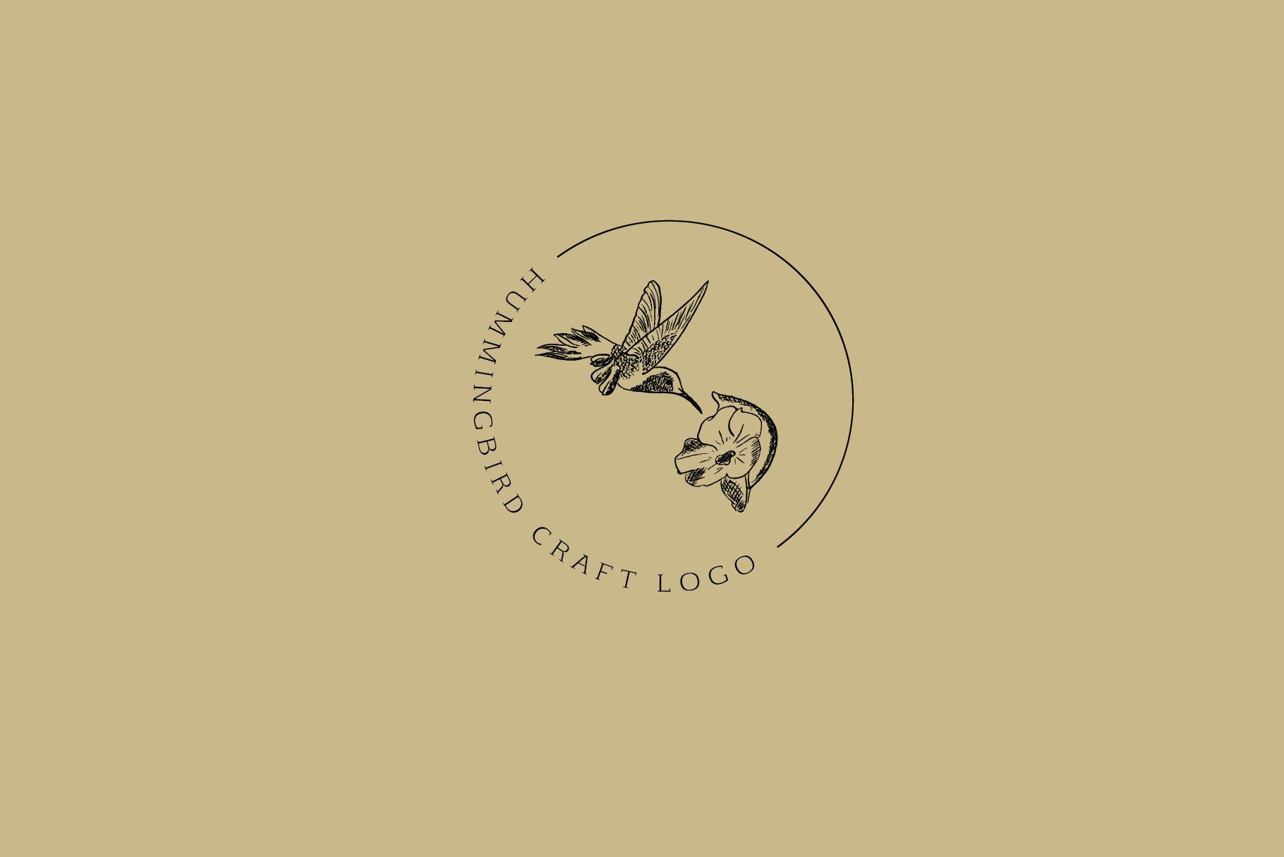 Hummingbird Logo cover image.