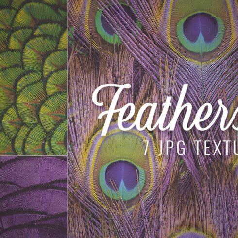 Feather Textures cover image.