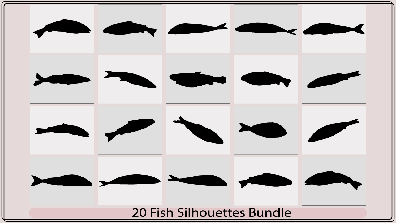 Collection of fish silhouettes on a white background.