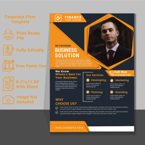 Corporate Flyer Template for your businessFlyer Design Business Flyer template cover image.