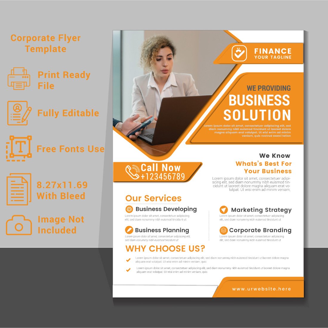 Professional business Flyer Template for your BusinessEasy to customize every file cover image.