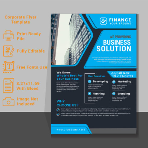 Professional business Flyer Template for your BusinessEasy to customize every fileFlyer Design Template stock illustration cover image.