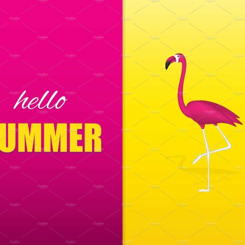 Flamingo cover image.