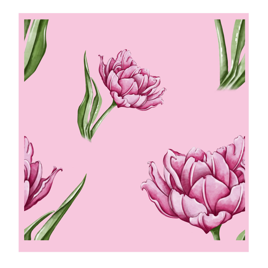 Pink flower with green leaves on a pink background.