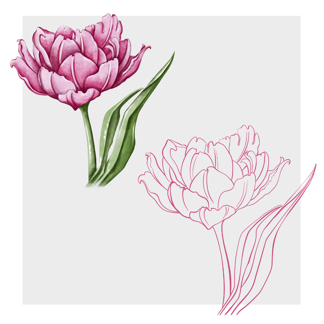 A set of floral illustrations preview image.