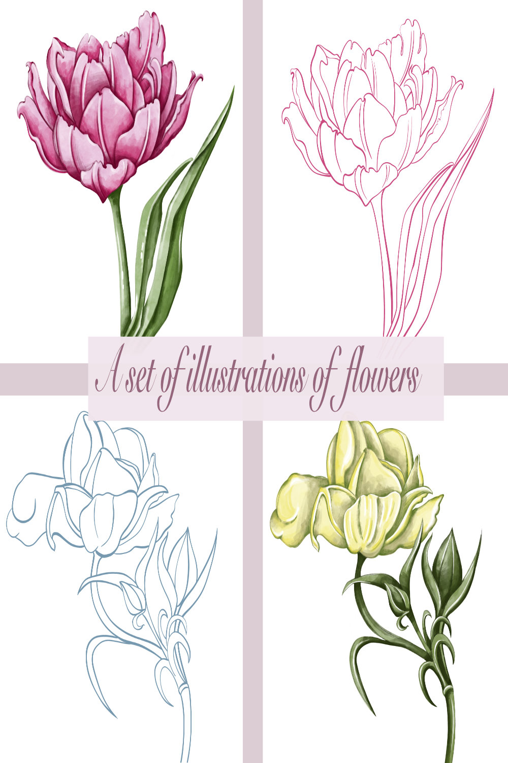 A set of floral illustrations pinterest preview image.