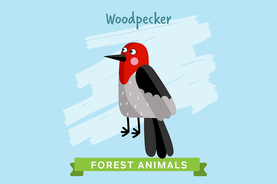 Woodpecker Vector, forest animals. cover image.