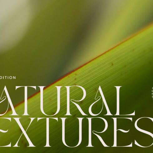Natural textures - Green edition v02 cover image.