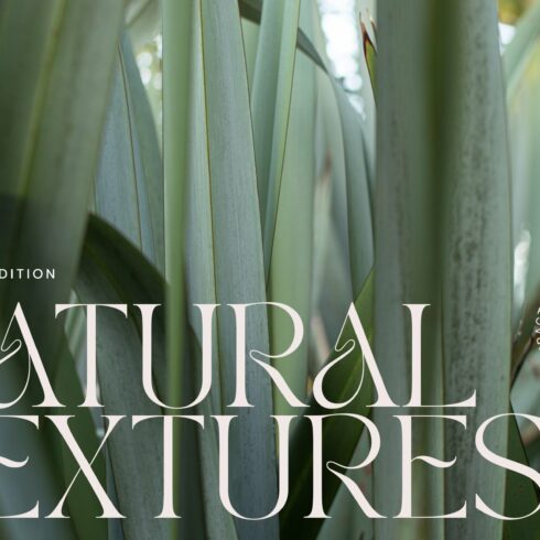 Natural textures - Green edition v03 cover image.