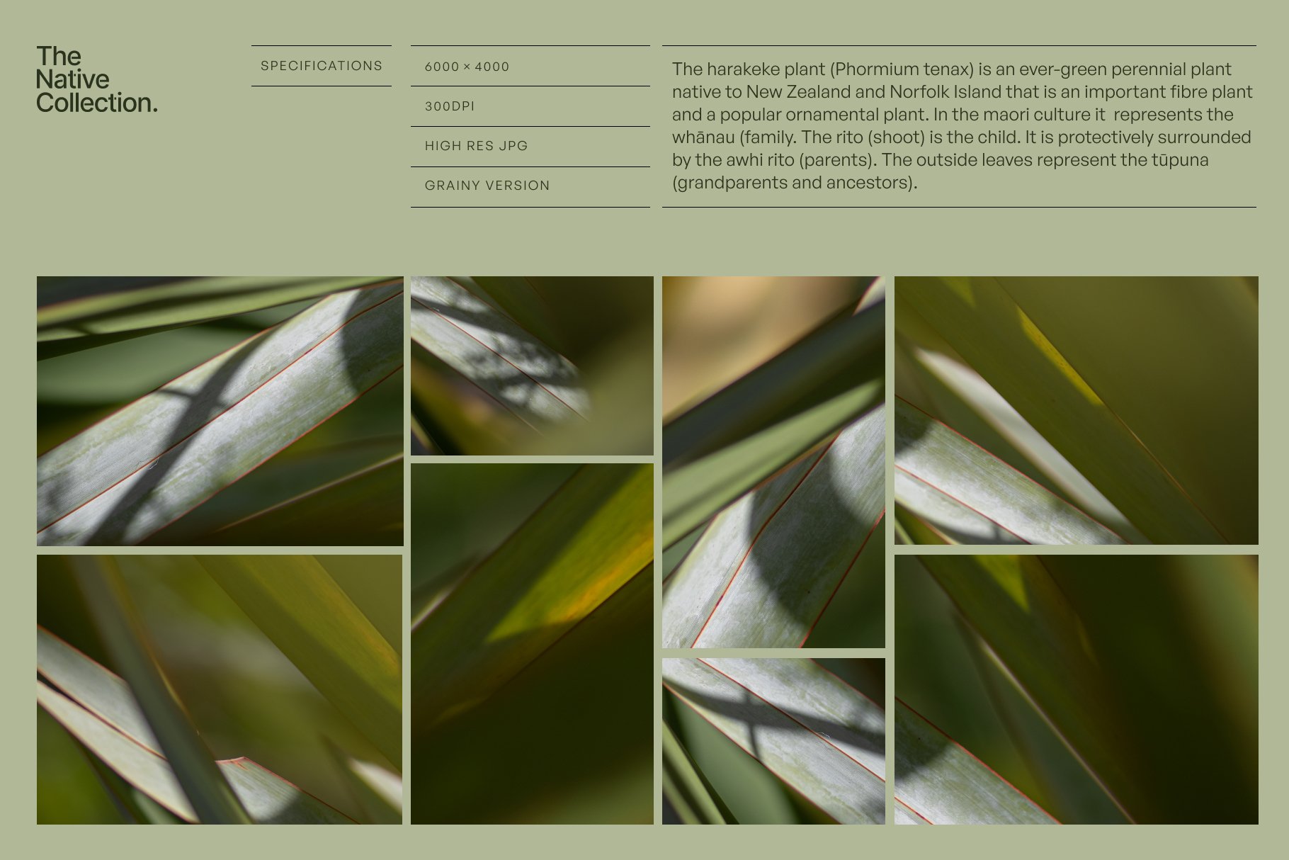 Natural textures - Green edition v01 preview image.