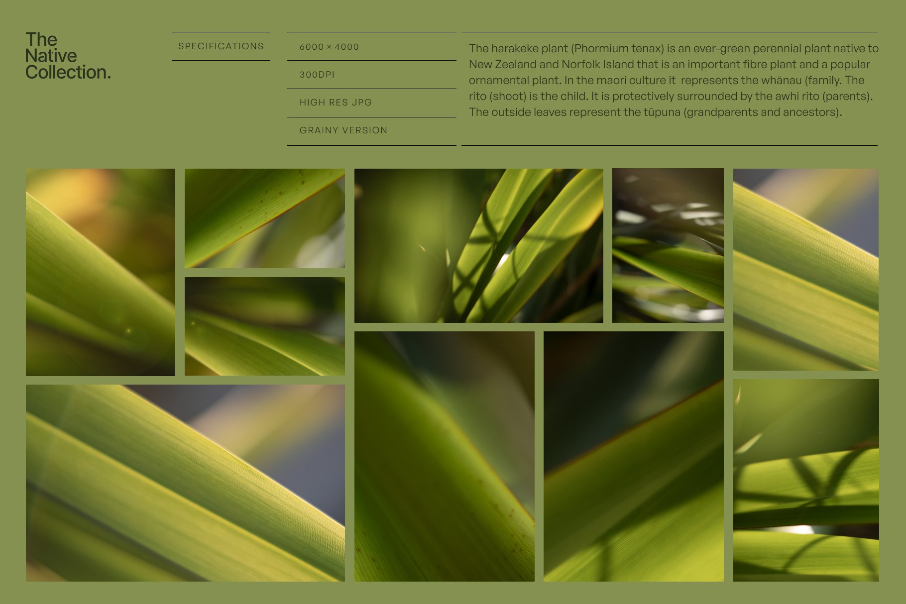 Natural textures - Green edition v02 preview image.