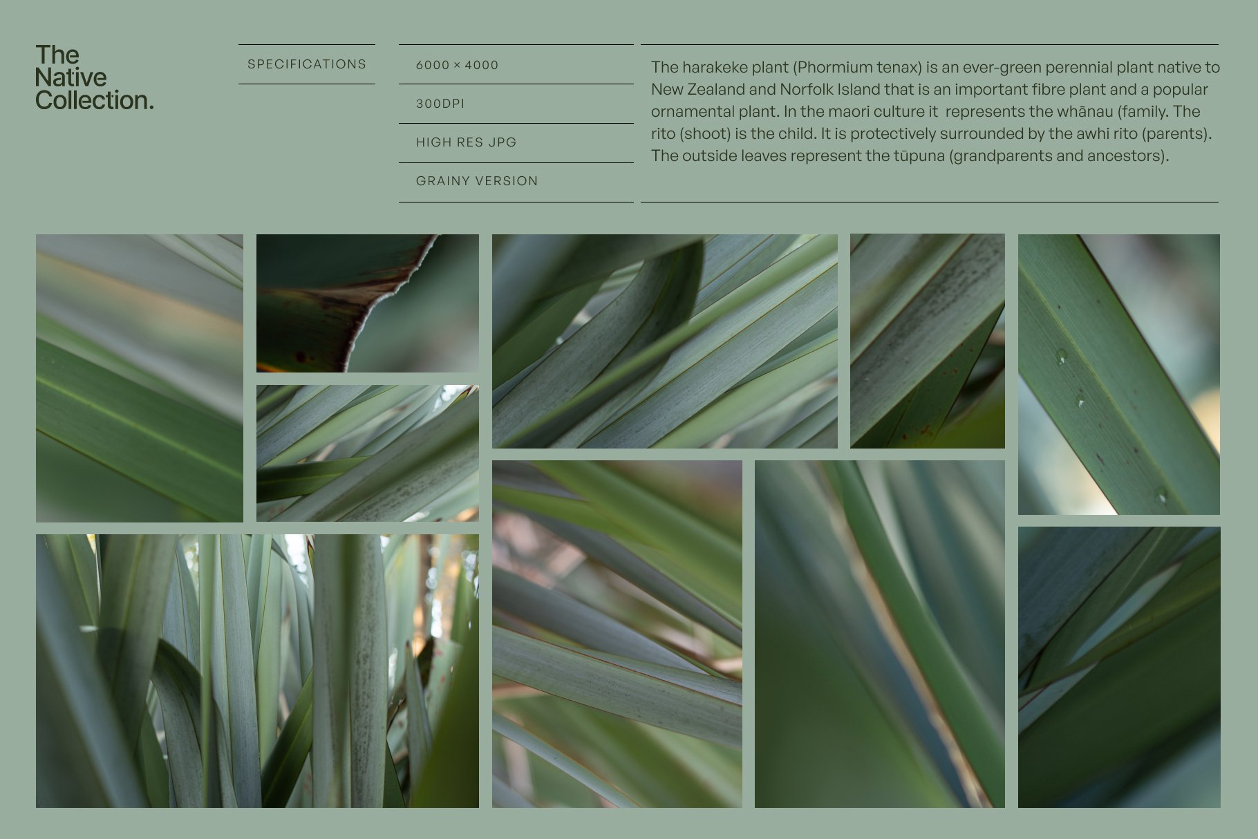 Natural textures - Green edition v03 preview image.